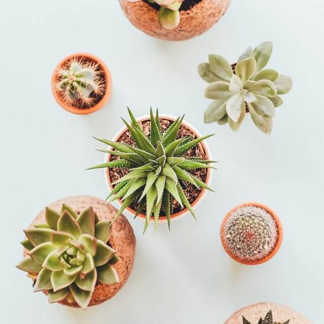 24253999 1232637293546789 49577778160336896 nfull.jpg